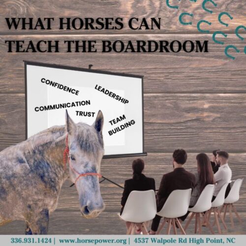 what horses can teach the boardroom.