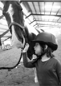 Brooks & Dude